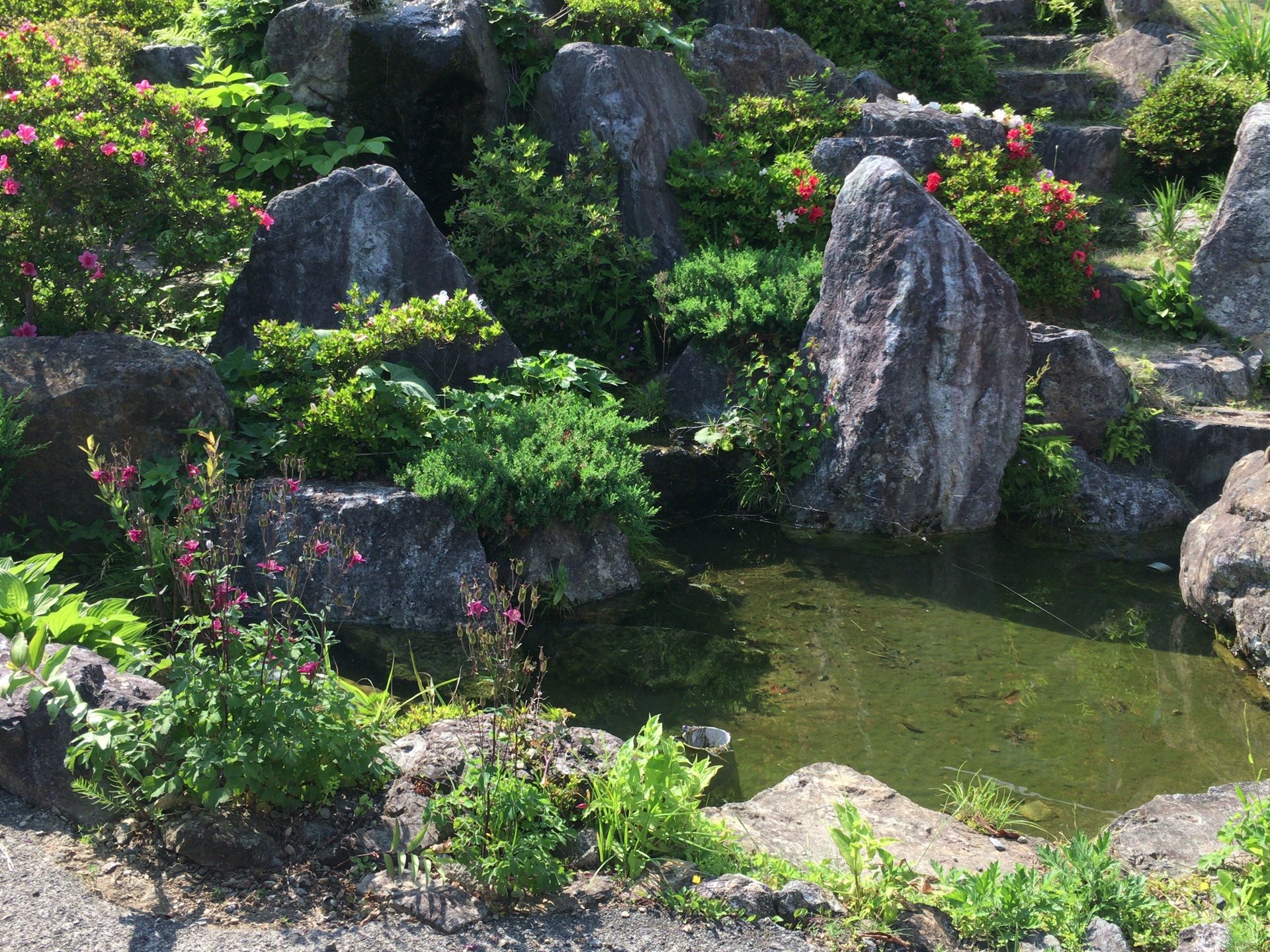 【ご自宅の庭とは思えない！】最近話題になっている釜石のオープンガーデン「陽子の庭」に行ってみた