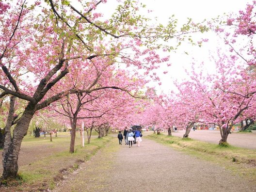 弘前公園