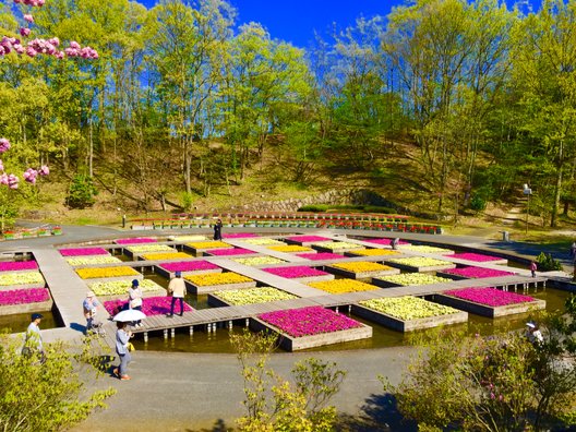 鳥取県立フラワーパークとっとり花回廊