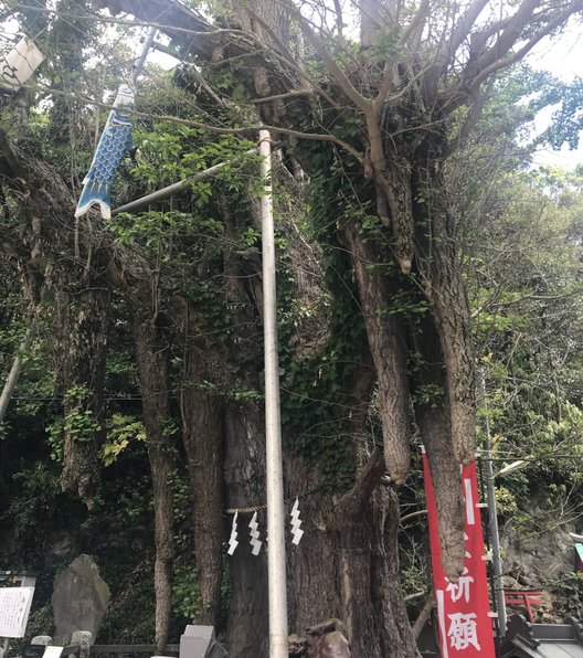 海南神社