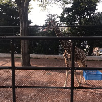 野毛山動物園