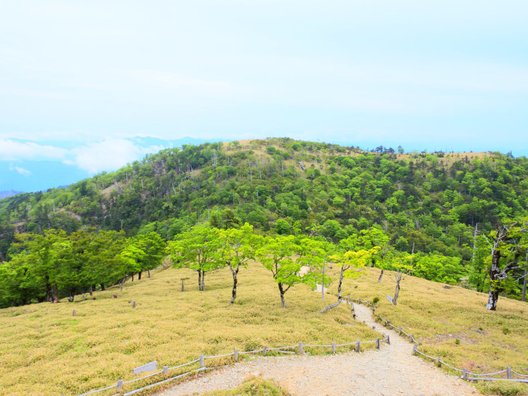 大台ケ原(日出ヶ岳)