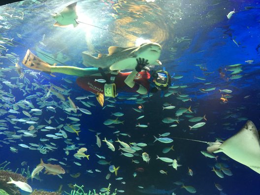 サンシャイン水族館