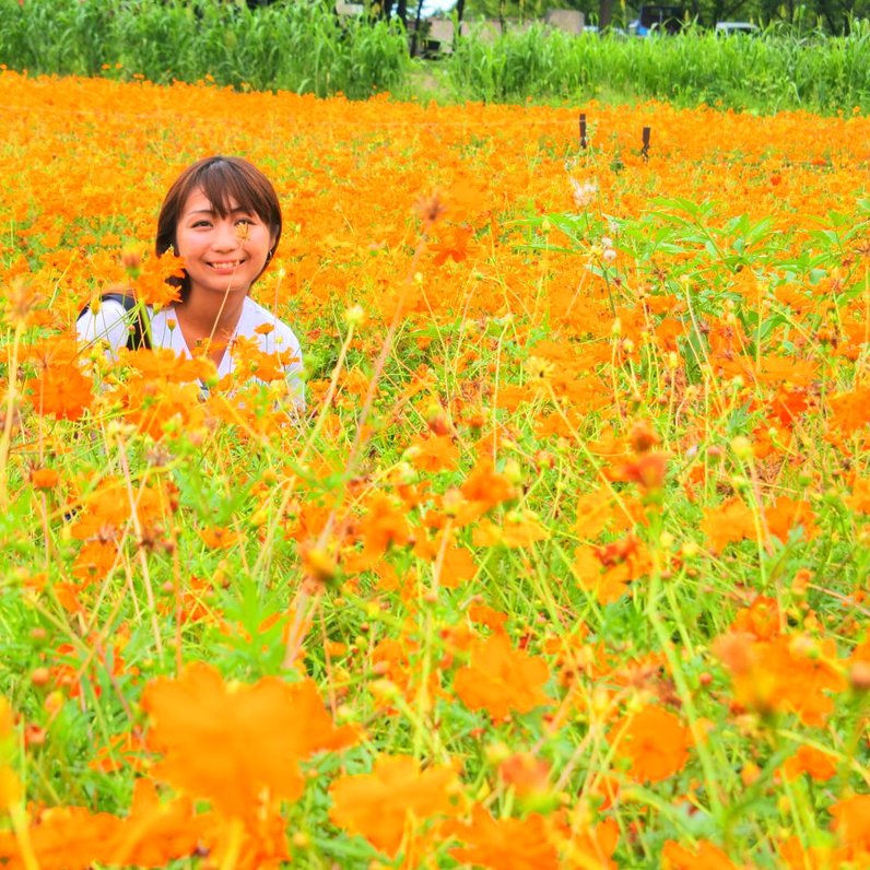 滋賀農業公園ブルーメの丘