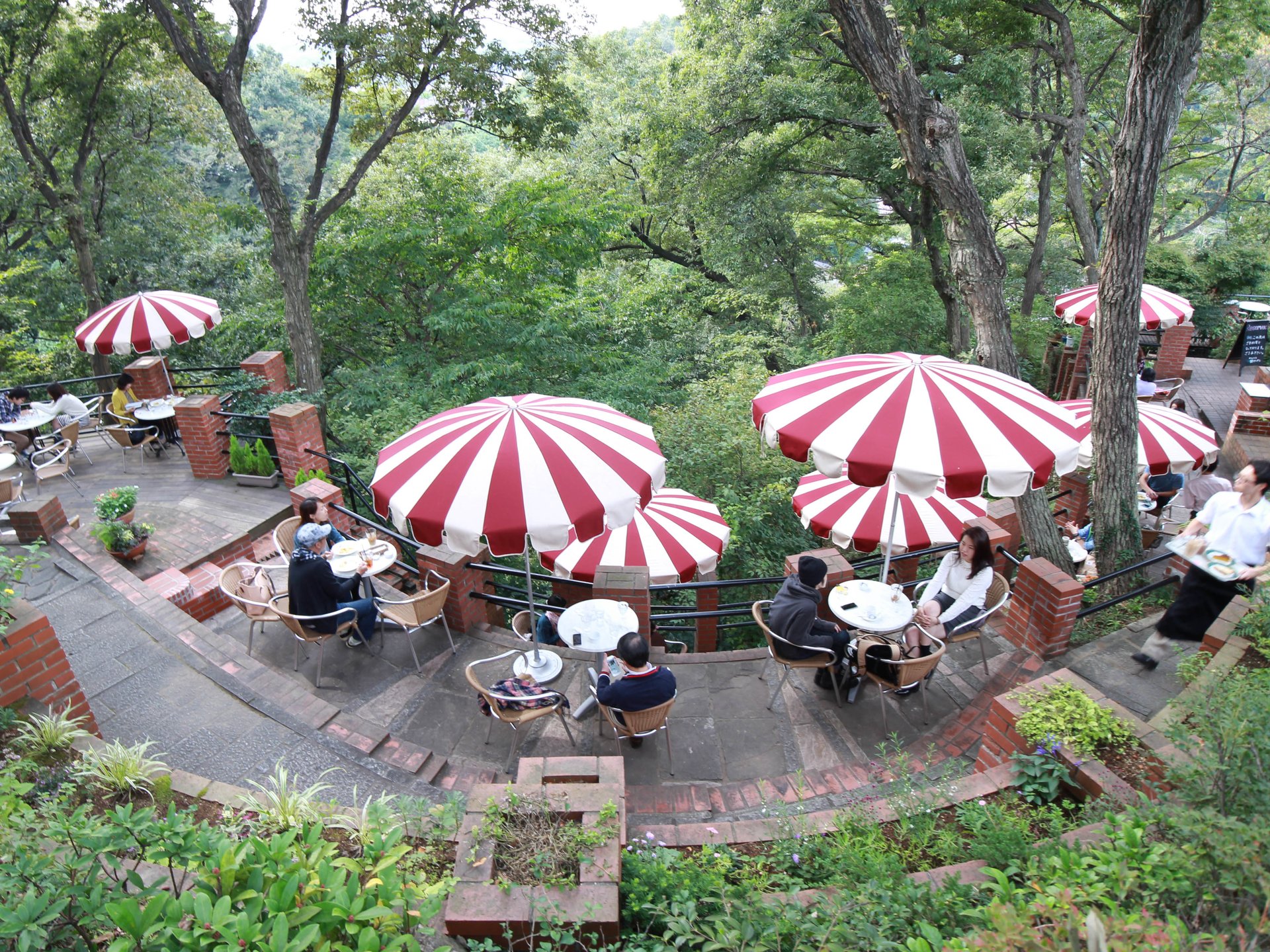 自然を楽しむ鎌倉散策♪葛原岡・大仏ハイキングコースに突如現れる天空のカフェ「樹ガーデン」へ！