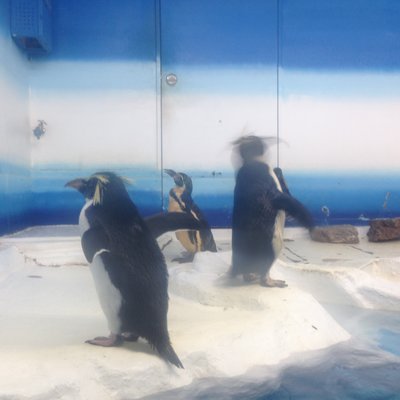 サンピアザ水族館