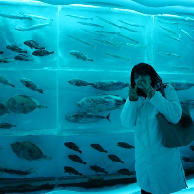 氷の水族館