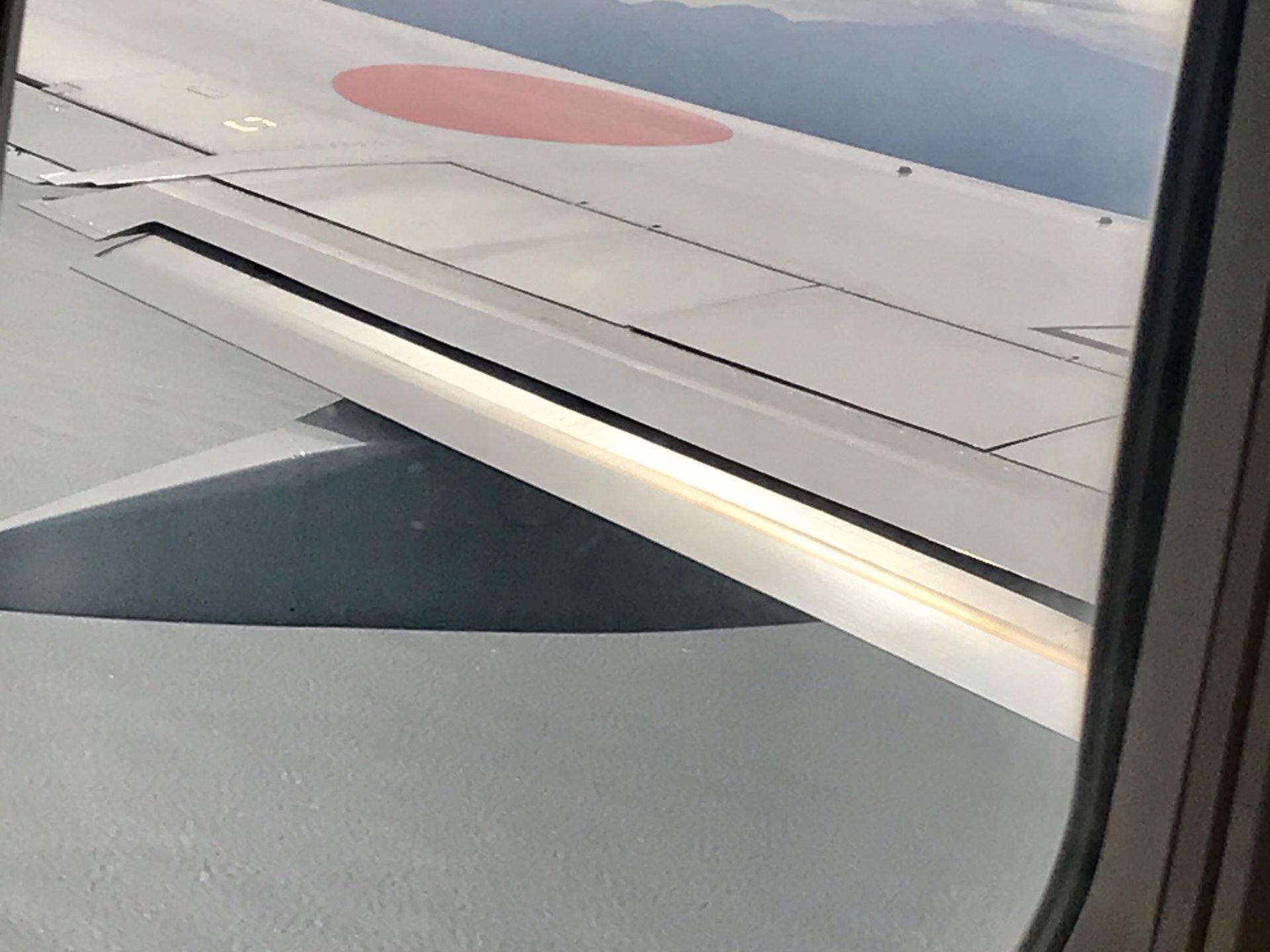 【空港の歩き方】初めての飛行機旅行！セントレア空港ってどんな所？