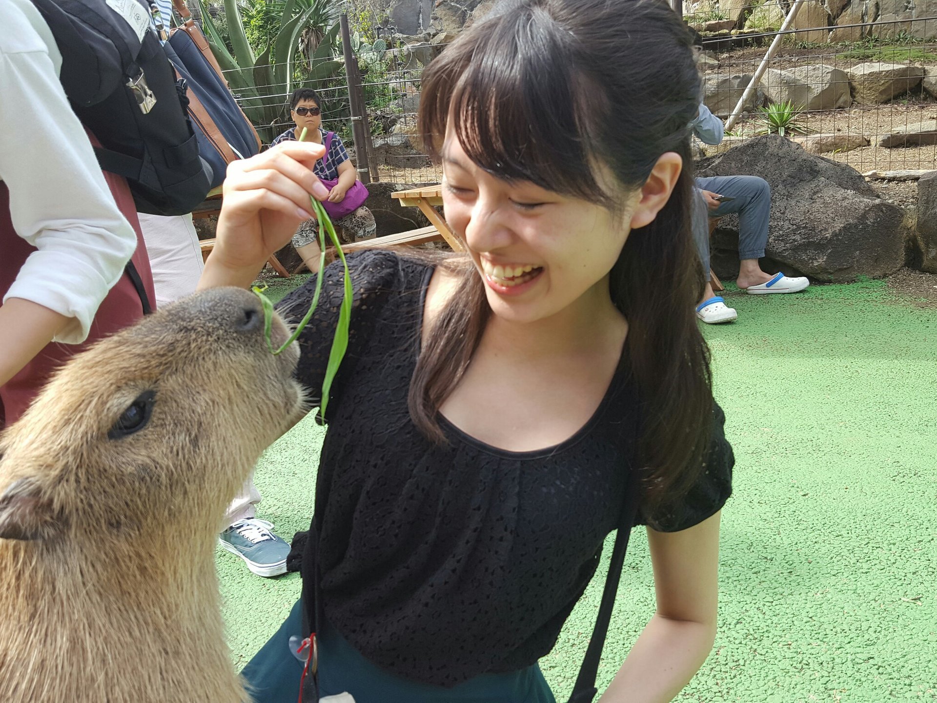 【一泊二日のグループ旅行in伊豆】１泊２日でカピバラとたわむれよう！