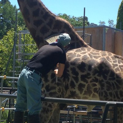 円山動物園