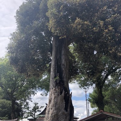 水田天満宮(恋木神社)