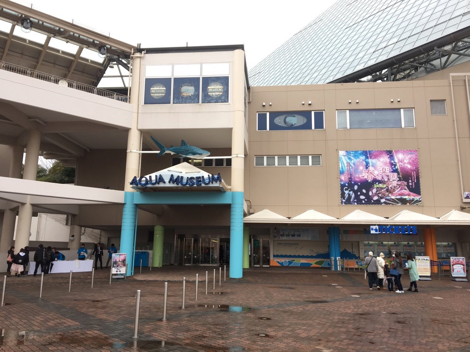 横浜 八景島シーパラダイスアクアミュージアム