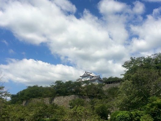 津山城跡(鶴山公園)