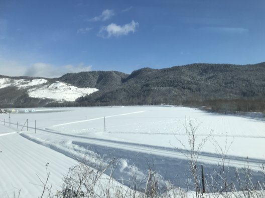 湯元白金温泉ホテル