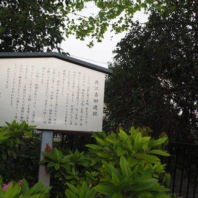 江古田の森公園