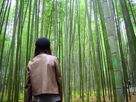 嵯峨野 竹林の道