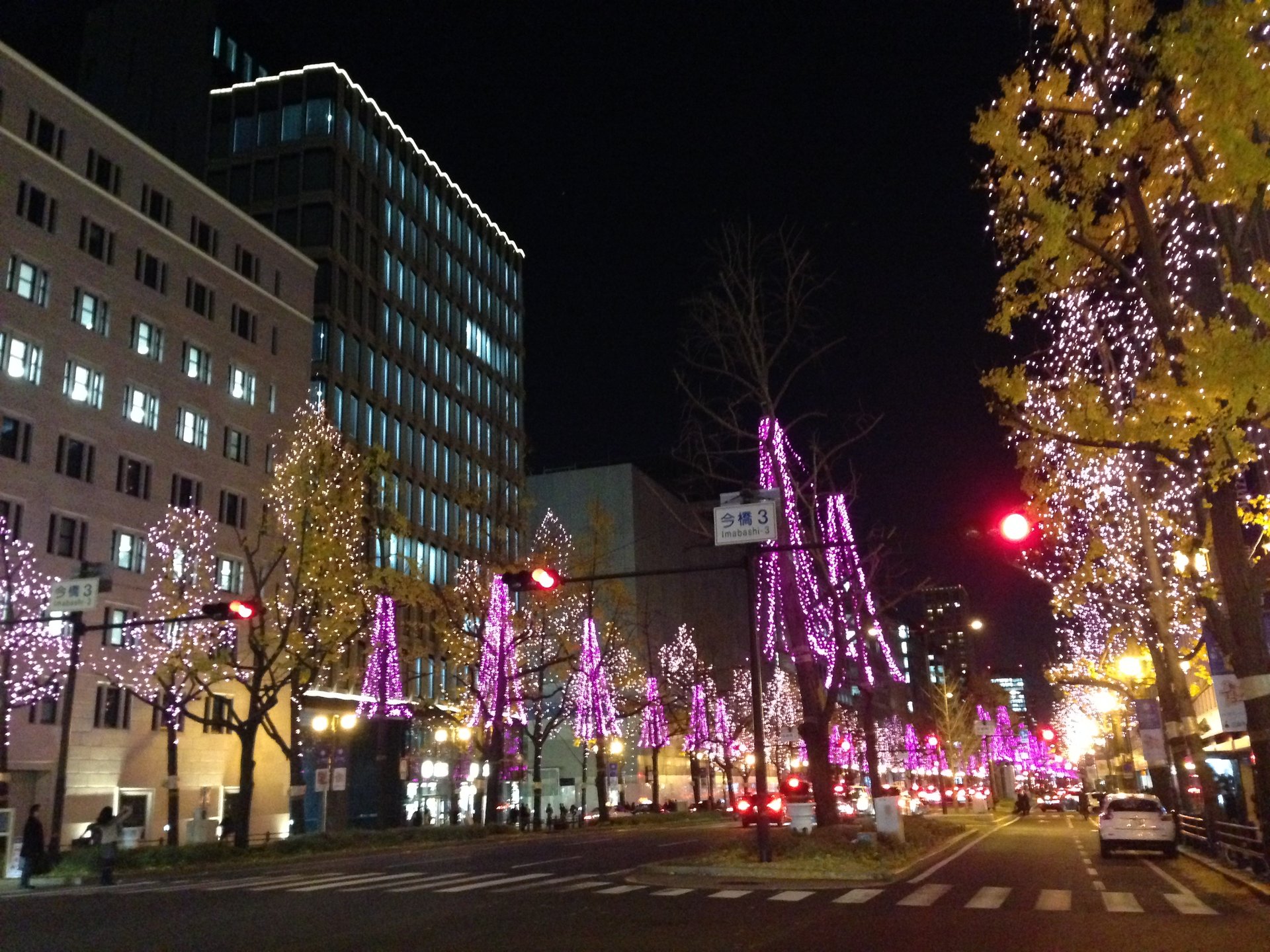 【夜デート】大阪・光の響宴イルミネーション満喫デートプラン