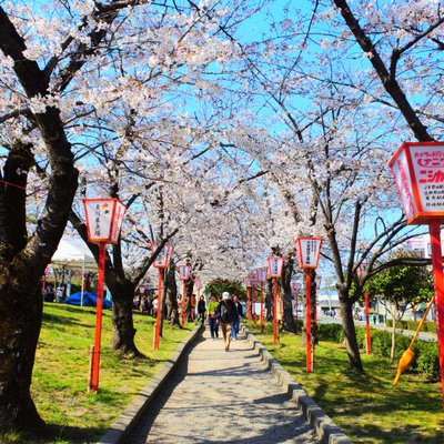 郡山城跡