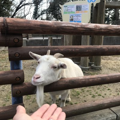 金沢動物園