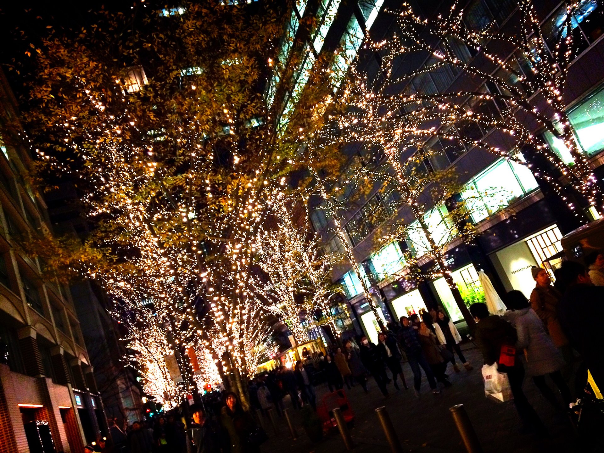 丸の内クリスマスデートプラン♡イルミネーションを見た後はお鍋で温まろう