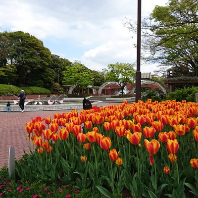 総合レクリエーション公園『フラワーガーデン』