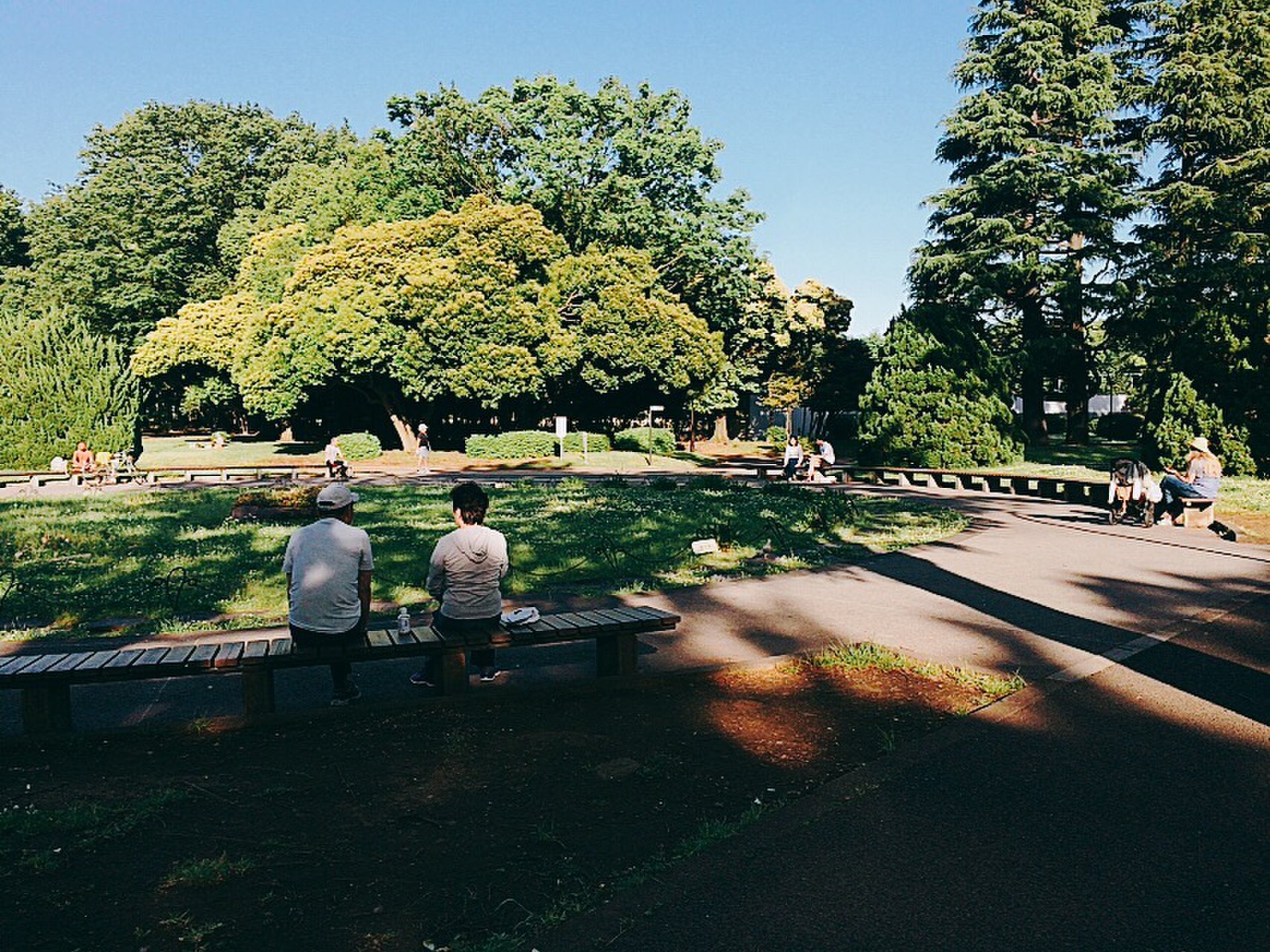 駒沢オリンピック公園 中央広場