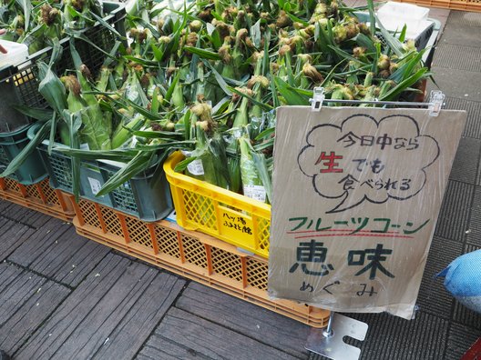 道の駅 八ッ場ふるさと館