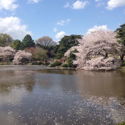 新宿御苑