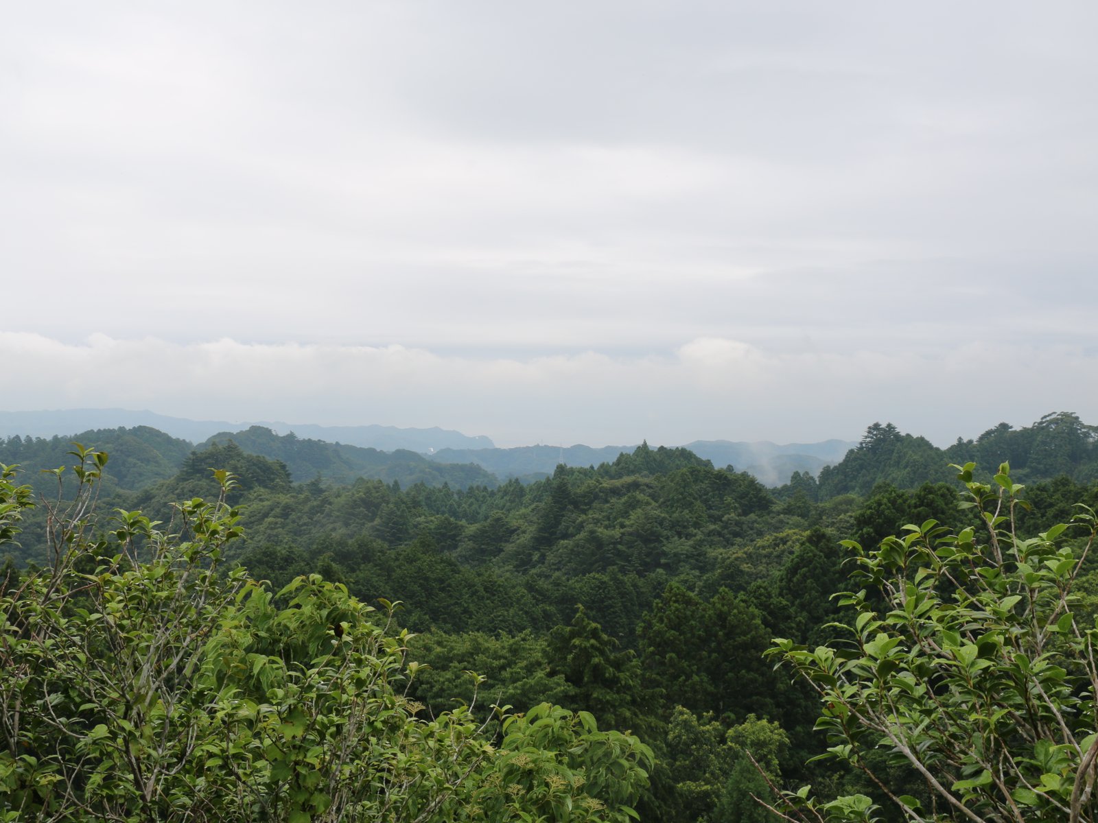 麻綿原高原