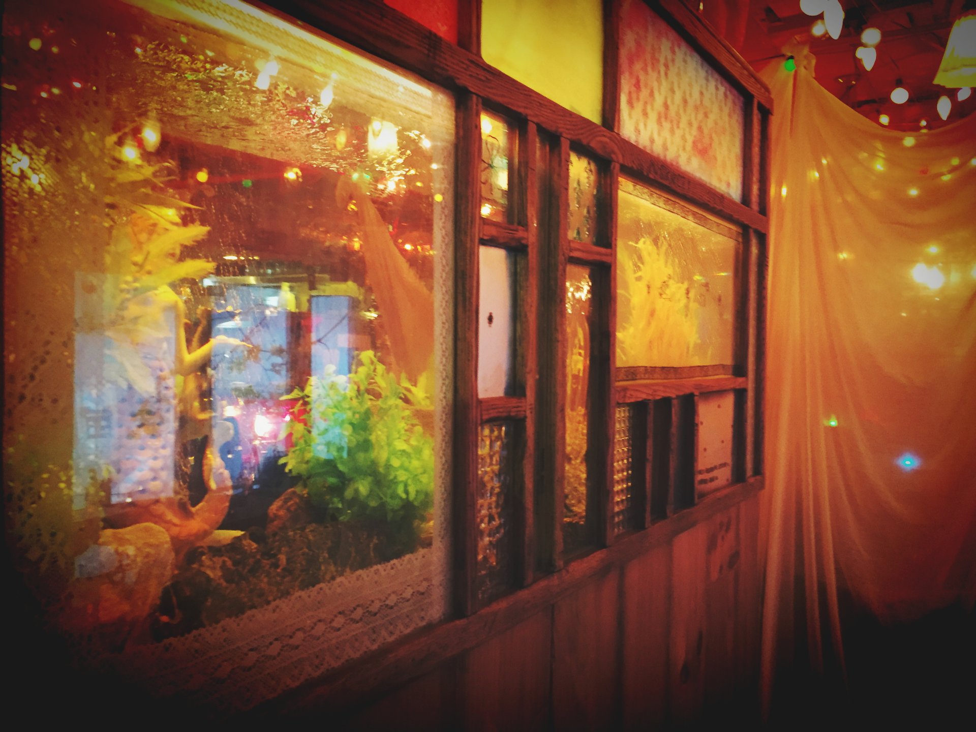 【幻想的な空間でおしゃれなランチ♡】渋谷の隠れ家レストランでLet's女子会！