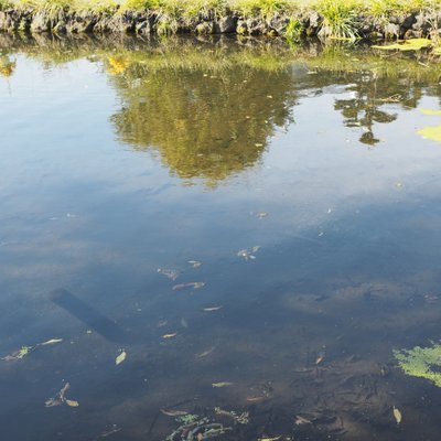 忍野八海