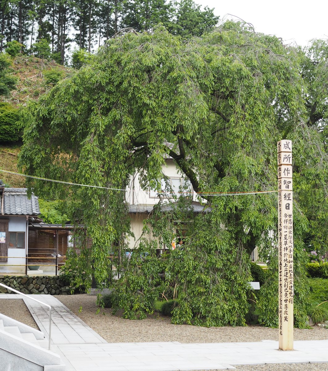 宝積寺