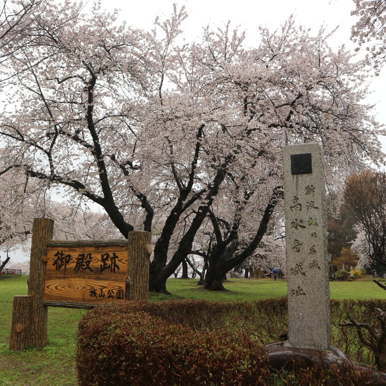 紫波城山公園