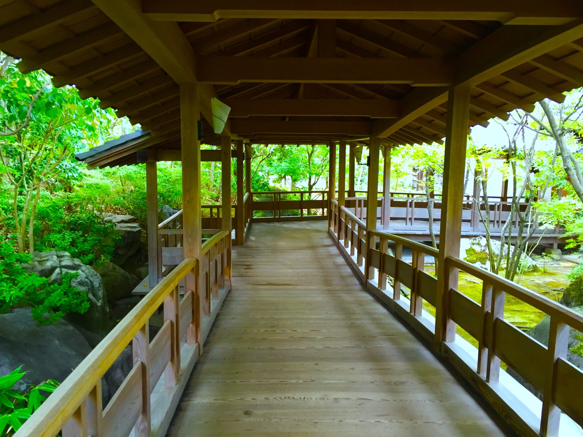 【姫路で楽しむフォトジェニック】姫路城のお庭好古園へ行こう！