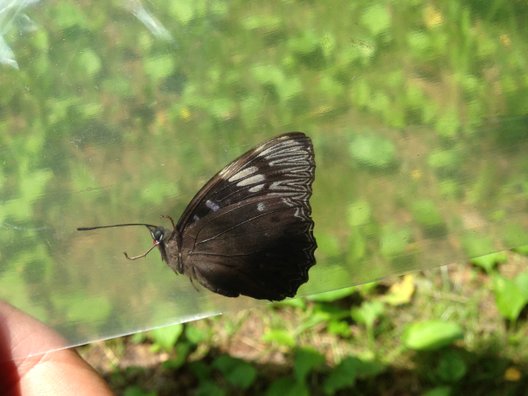 平野田休養村