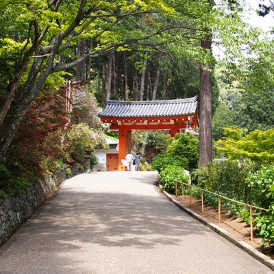 三室戸寺