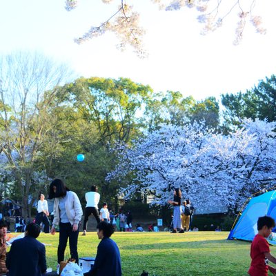 万博記念公園