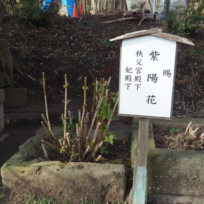 鶴峯八幡宮