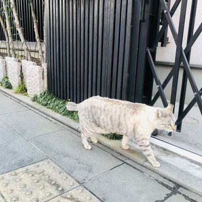 スターバックスコーヒー 川越鐘つき通り店