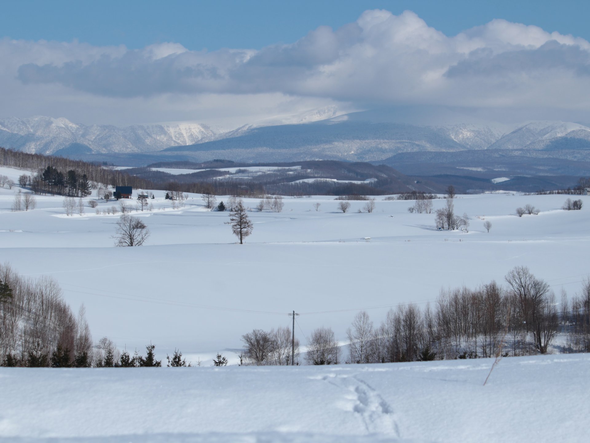 【冬の北海道】歩いて美瑛の丘へ。一面の銀世界と静寂に包まれる散歩コース