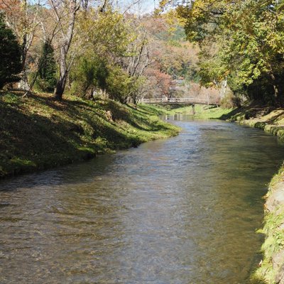 忍野八海