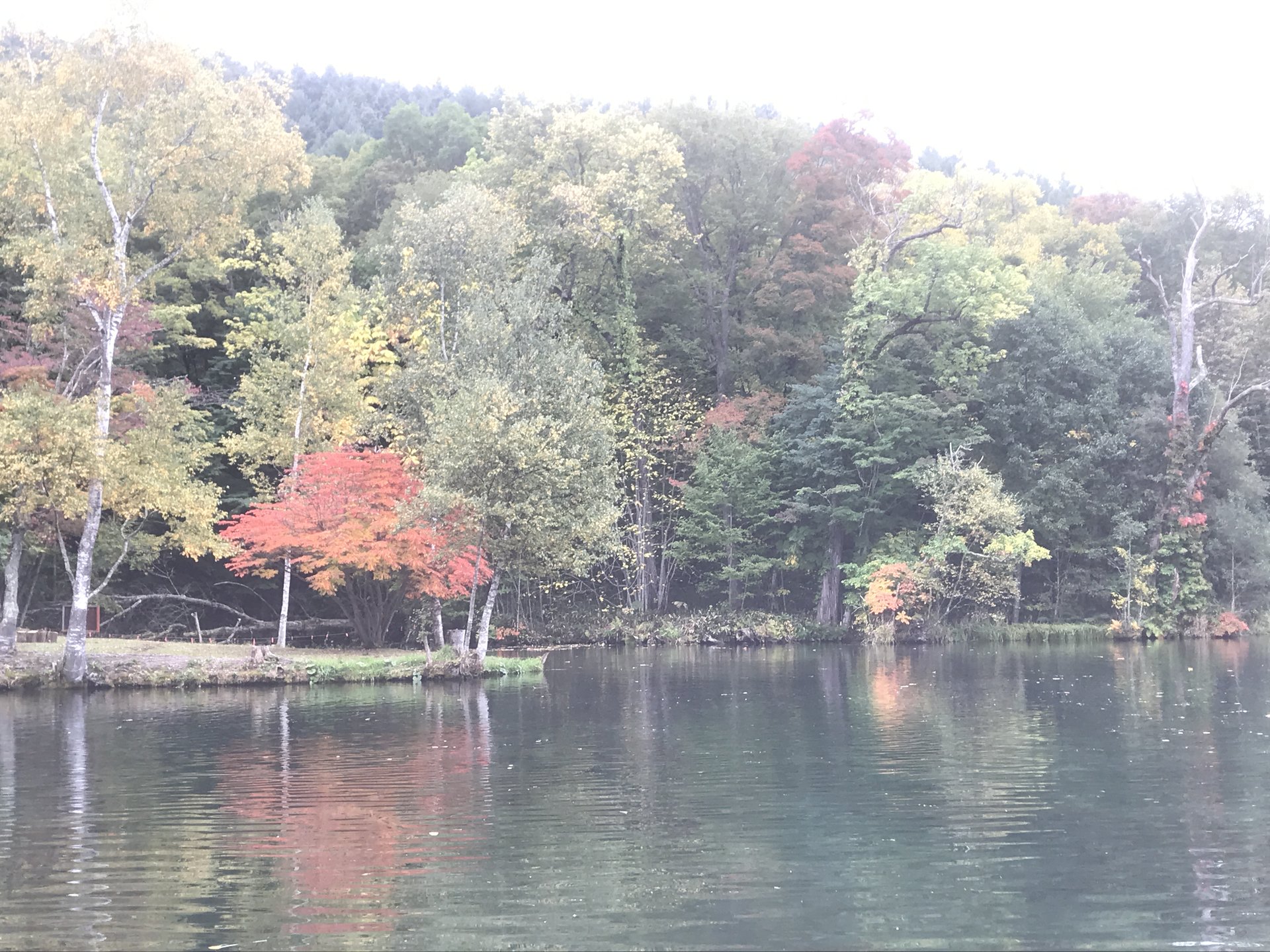 鳥沼公園