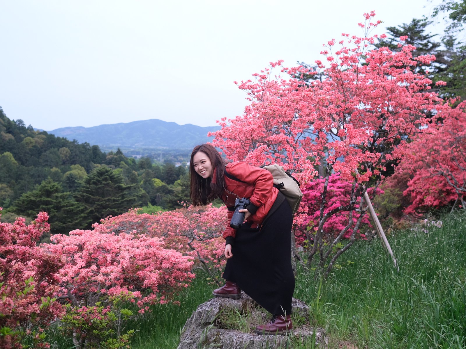 笠間つつじ公園