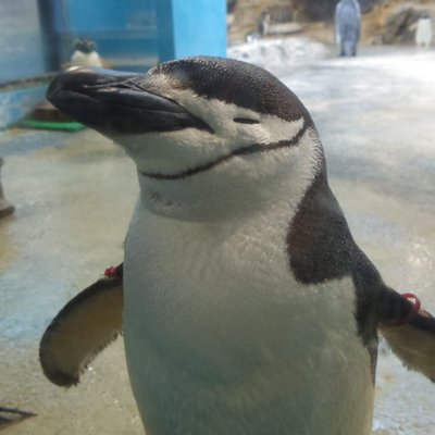 長崎ペンギン水族館