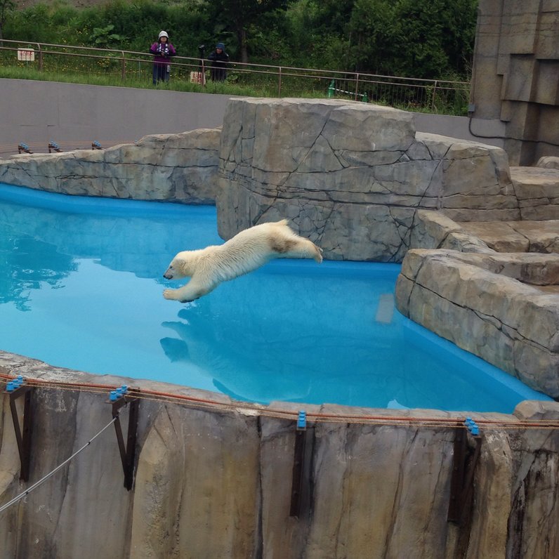 円山動物園