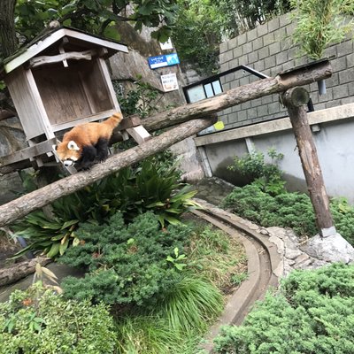 野毛山動物園