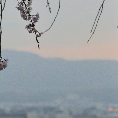 清水寺 善光寺堂