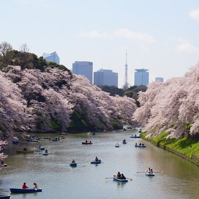 千鳥ケ淵緑道