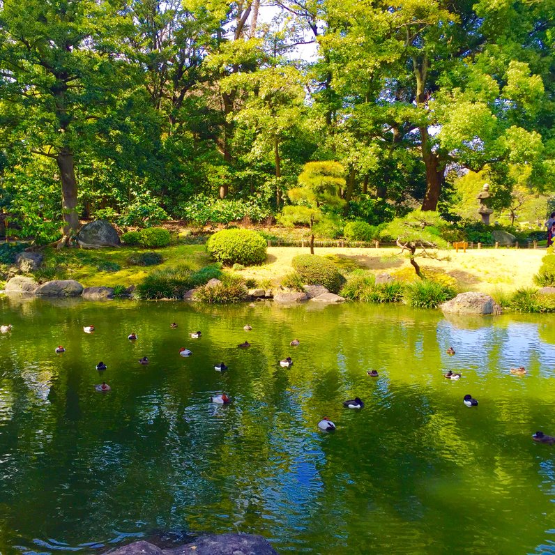 清澄庭園