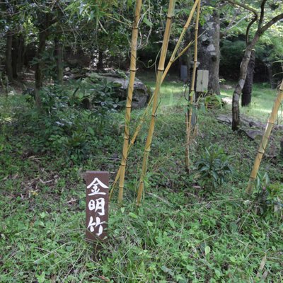 医王山 八王寺 (竹寺)